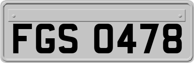 FGS0478