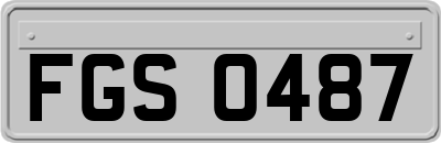FGS0487