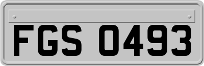FGS0493