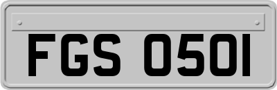 FGS0501