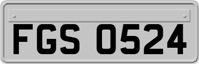 FGS0524