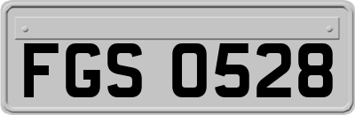 FGS0528