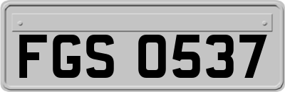 FGS0537