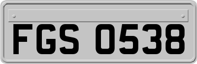 FGS0538