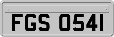 FGS0541