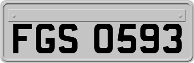 FGS0593