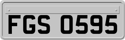 FGS0595