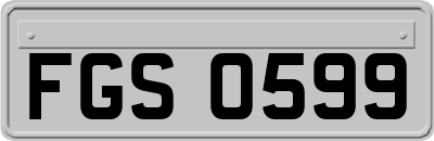 FGS0599