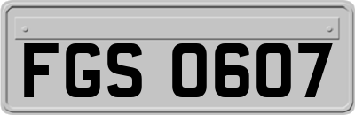 FGS0607