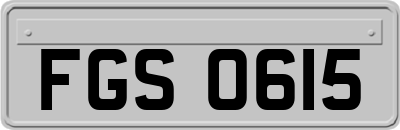FGS0615