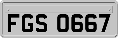 FGS0667