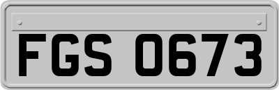 FGS0673