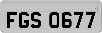 FGS0677