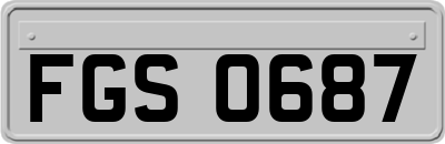 FGS0687