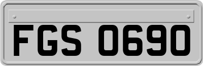 FGS0690