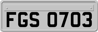 FGS0703