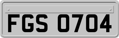 FGS0704
