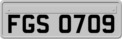 FGS0709