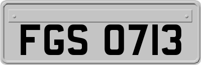 FGS0713