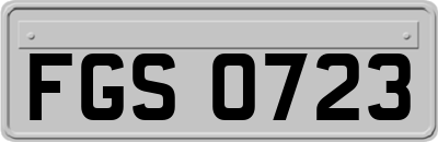 FGS0723