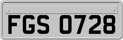 FGS0728