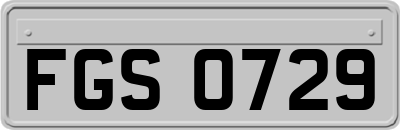 FGS0729