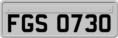 FGS0730