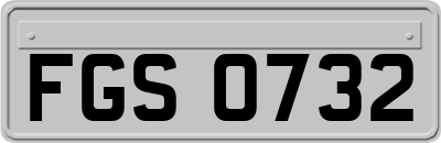 FGS0732
