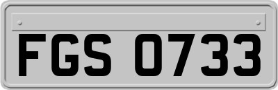 FGS0733