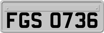 FGS0736