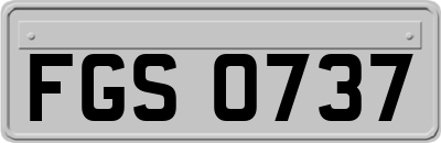 FGS0737
