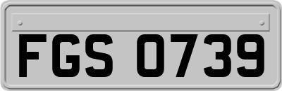 FGS0739