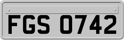 FGS0742