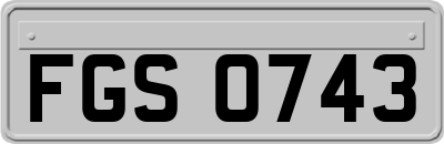 FGS0743