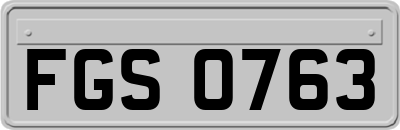 FGS0763