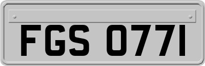 FGS0771
