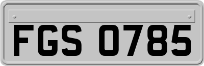 FGS0785