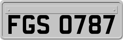 FGS0787