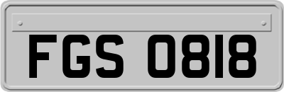 FGS0818