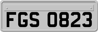 FGS0823