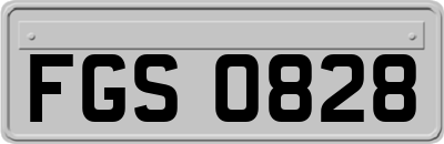FGS0828