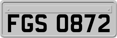 FGS0872