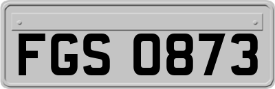 FGS0873