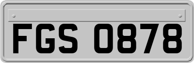 FGS0878