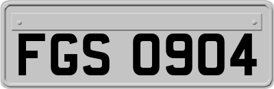 FGS0904