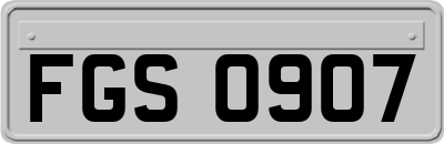 FGS0907