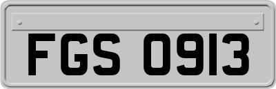 FGS0913