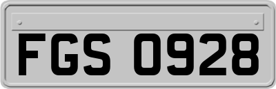 FGS0928