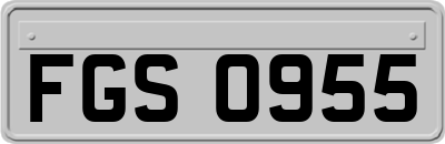 FGS0955