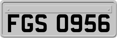 FGS0956